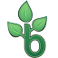Beanstalk