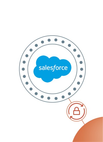 Salesforce Endpoints